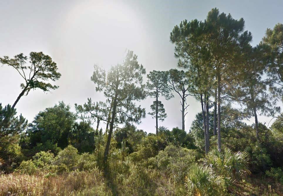 Dunmore Street, FL