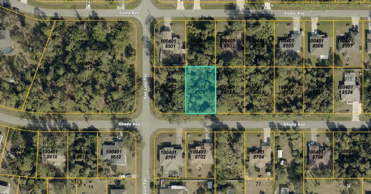 Shady Ave, FL