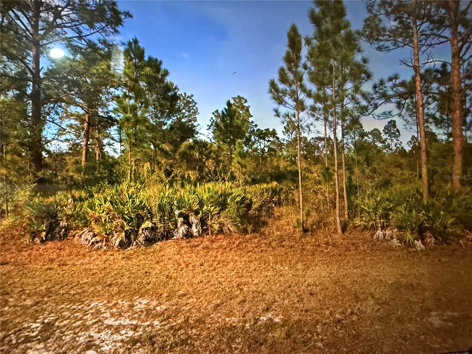 604 Orchid Drive, FL