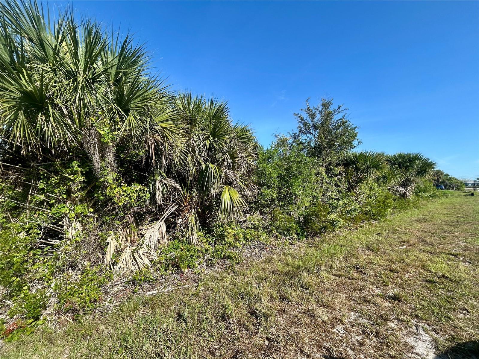 10039 Alvarez Street, FL