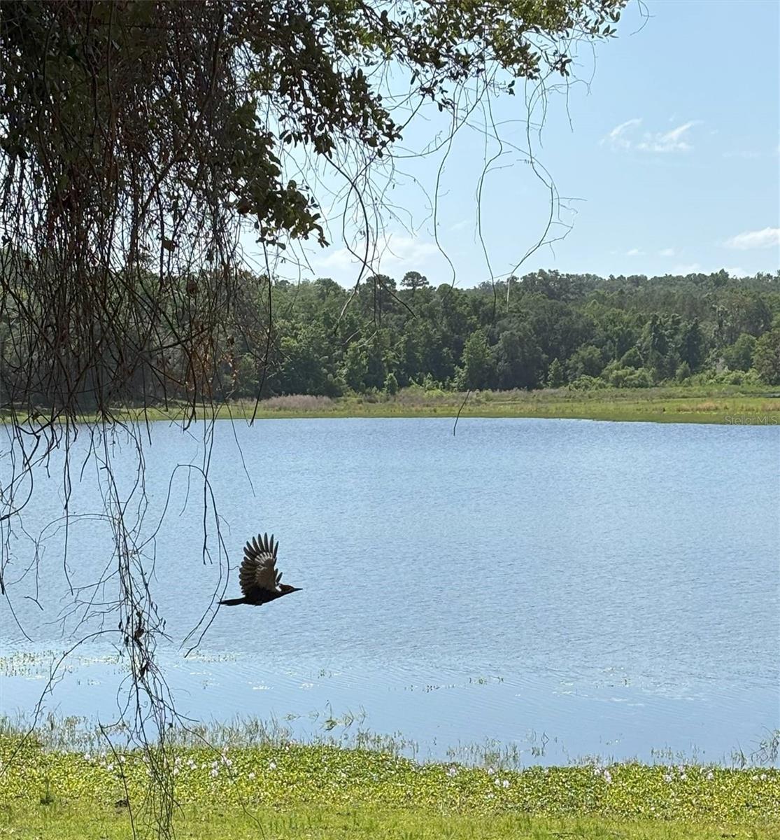 Church Road, FL