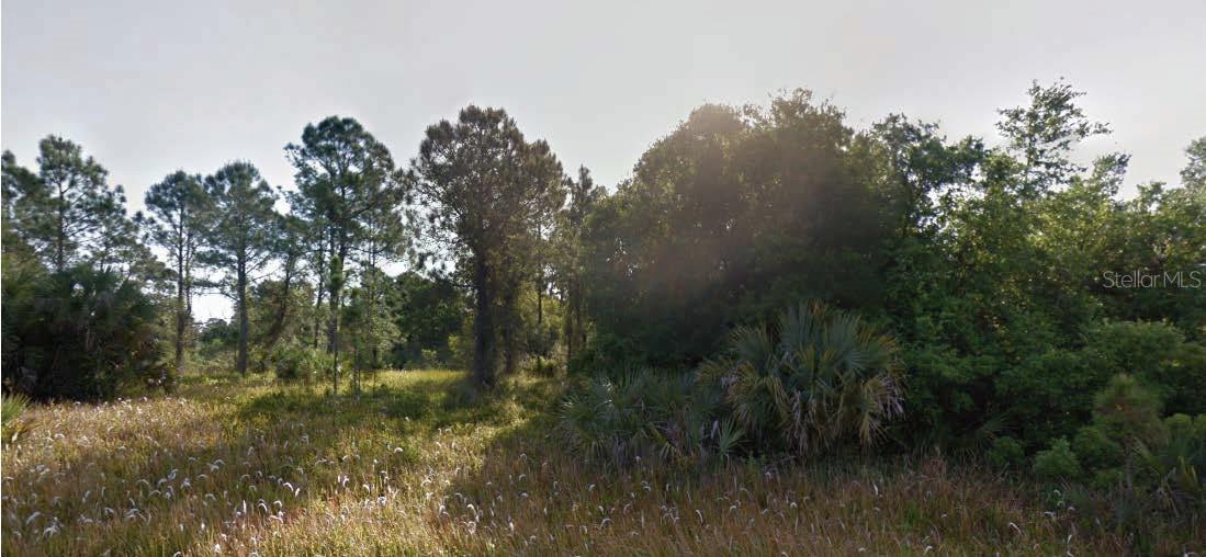 Hamerton Road, FL
