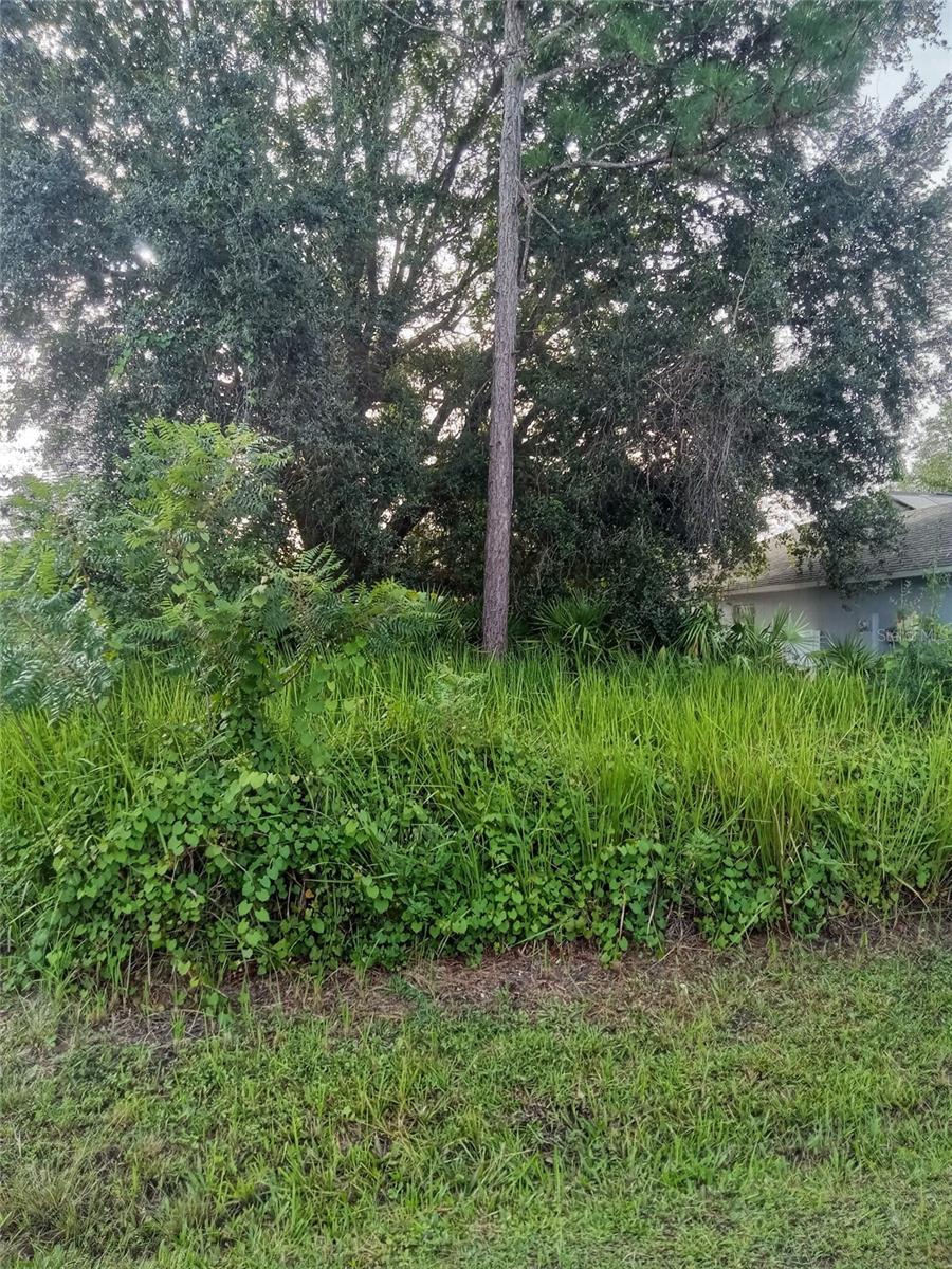 Maricopa Dr, FL