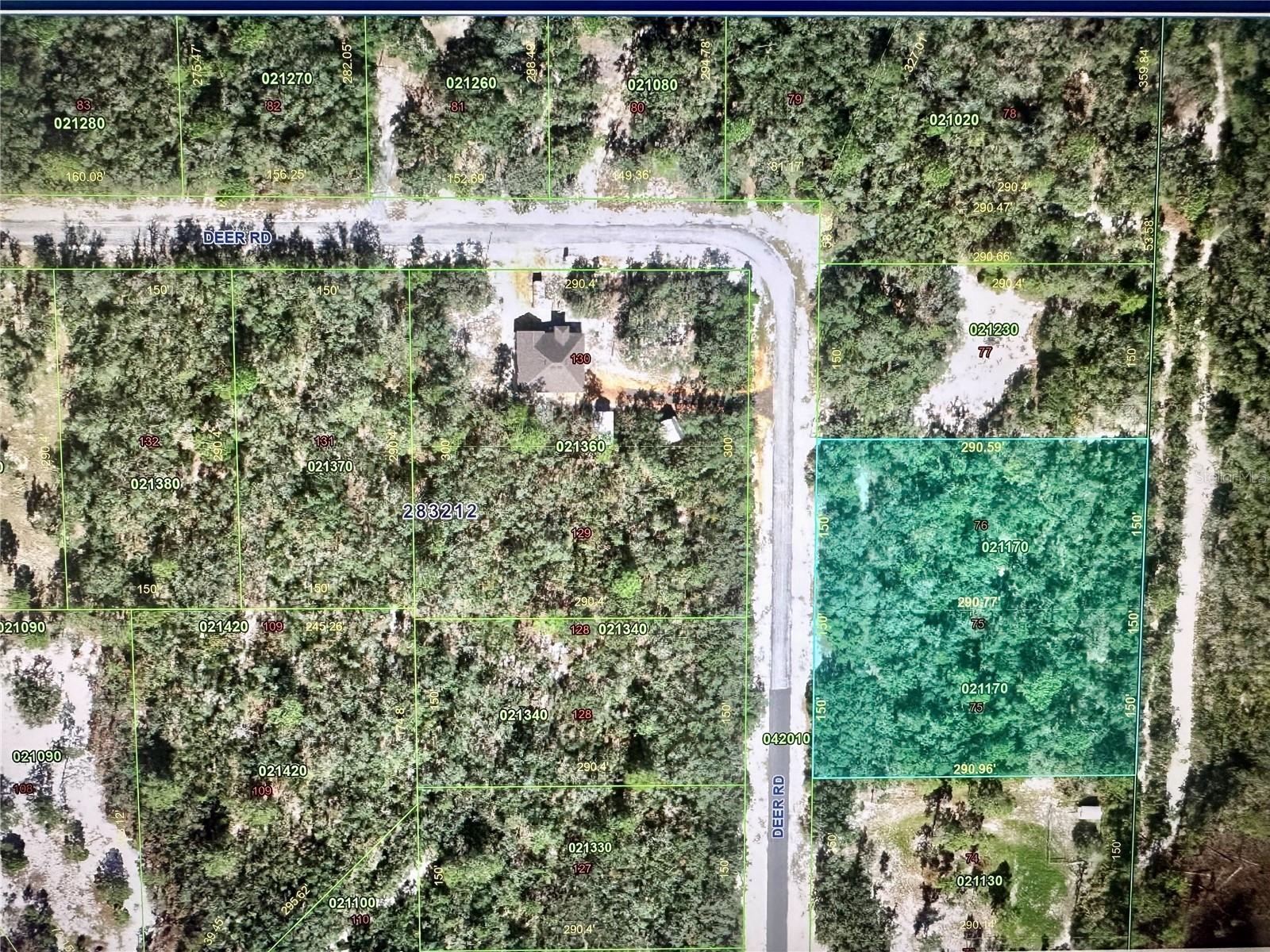 Deer Road, FL