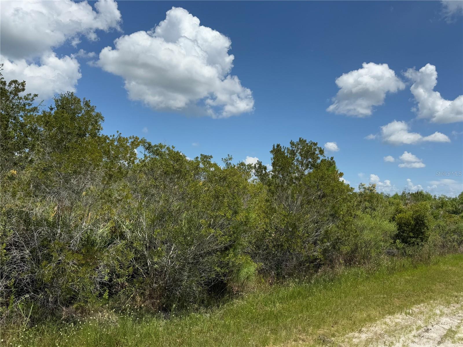 Sarasota Dr #11, FL