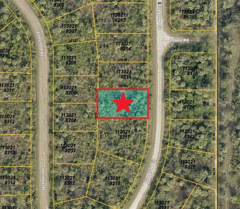 Lot 16 Fireglow Circle, FL