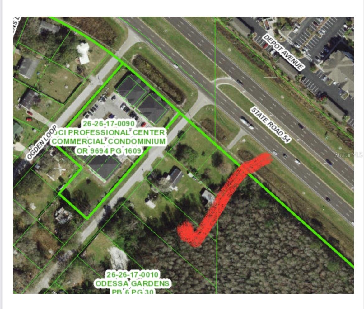 14969 Ogden Loop, FL