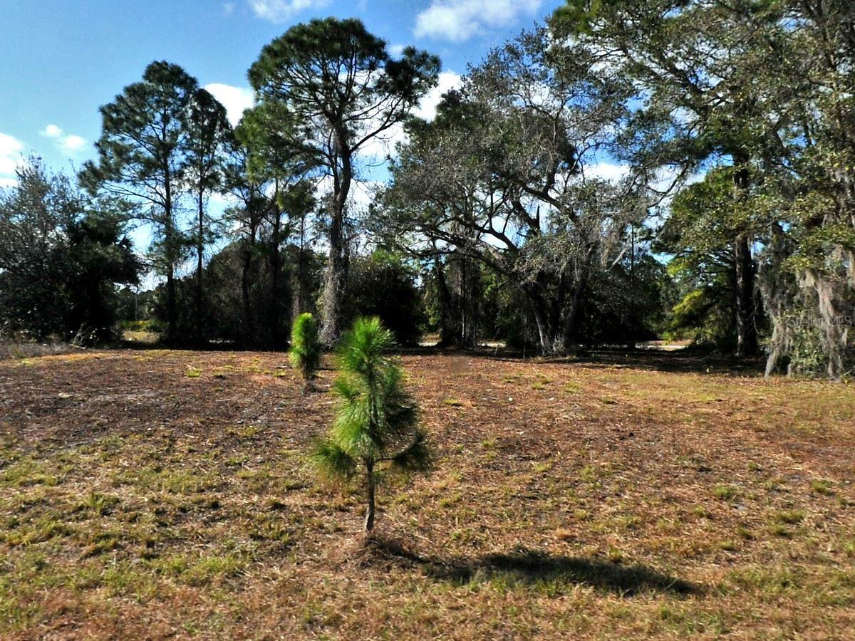 Longfellow Lane, FL