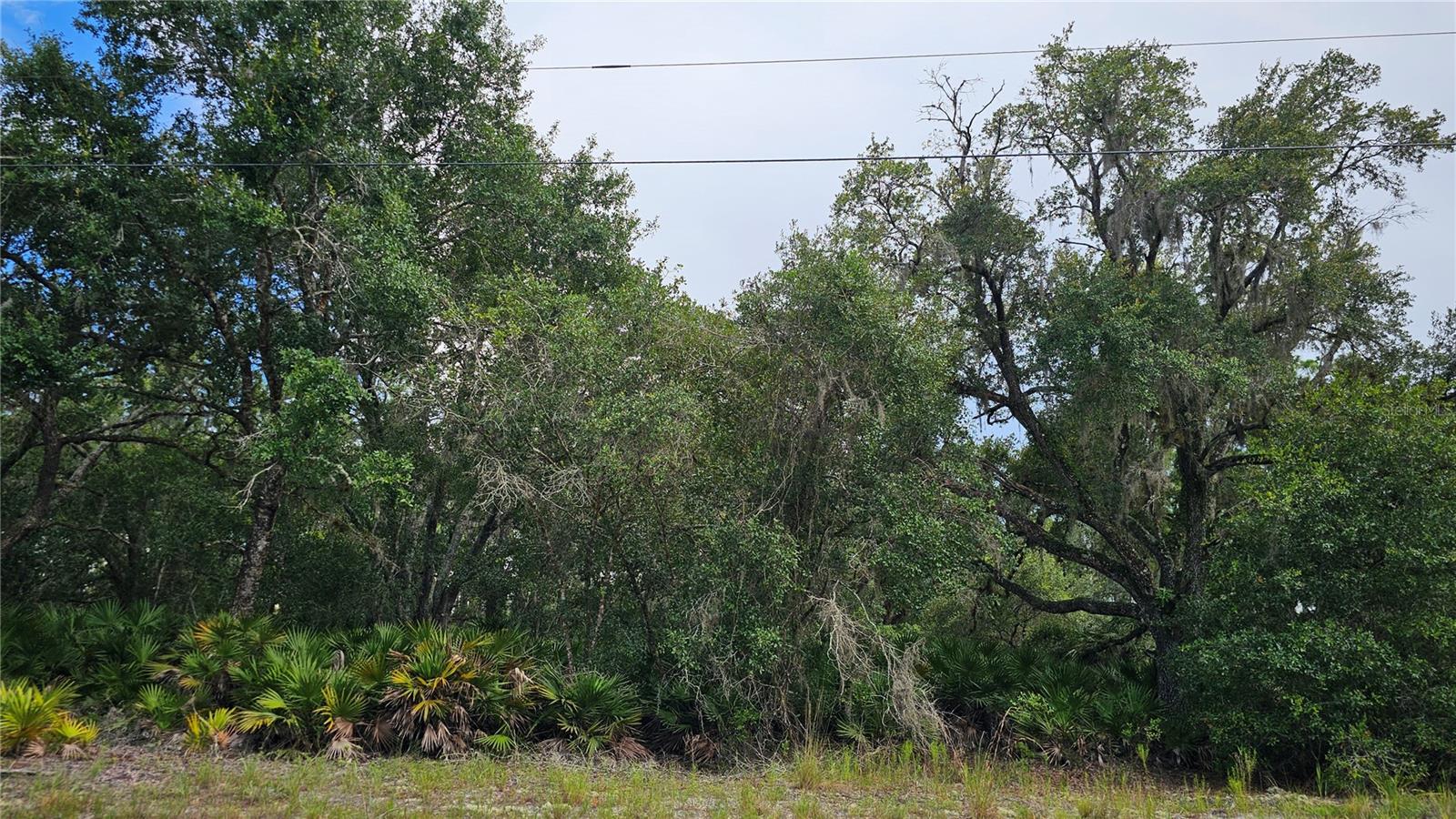 1005 Plumosa Drive, FL