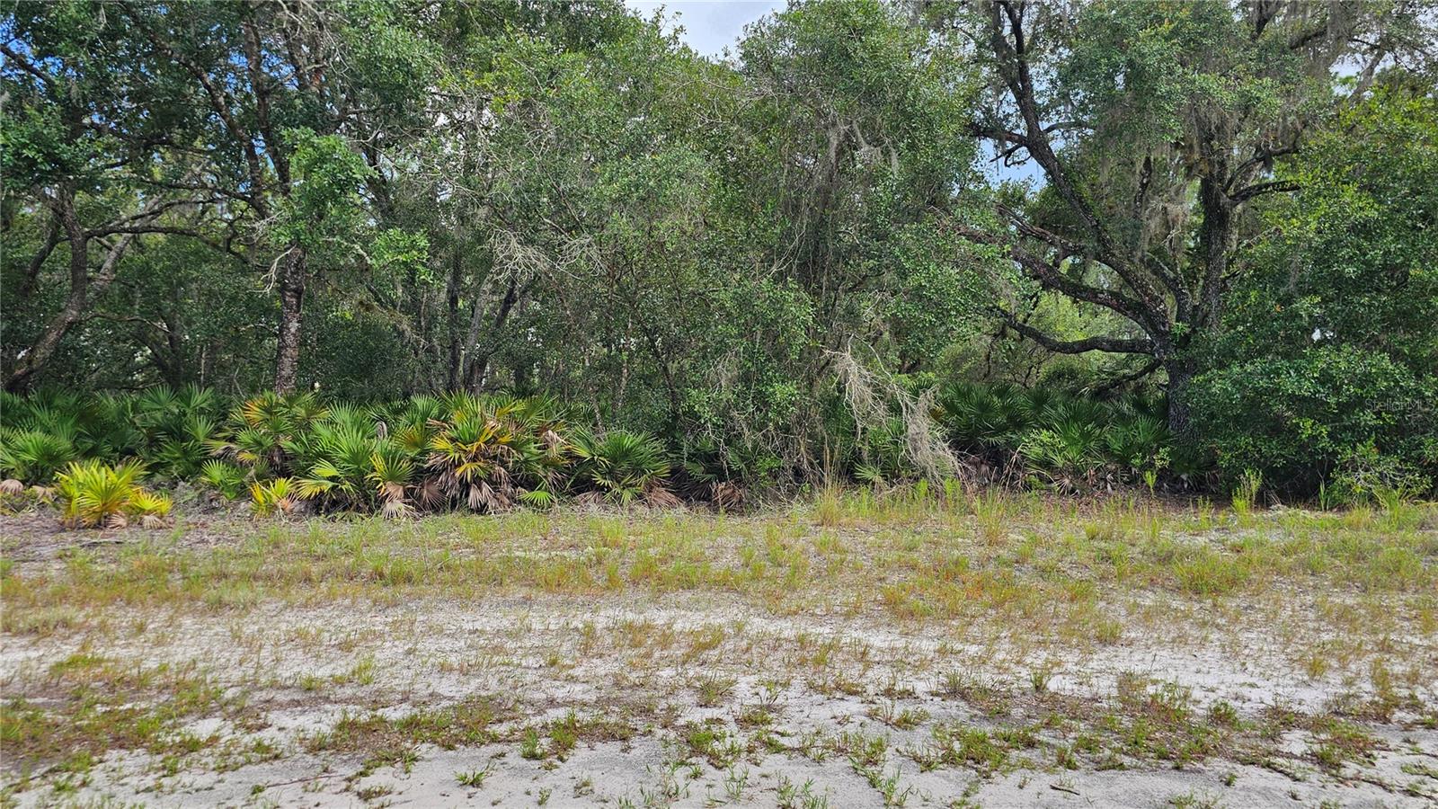1005 Plumosa Drive, FL