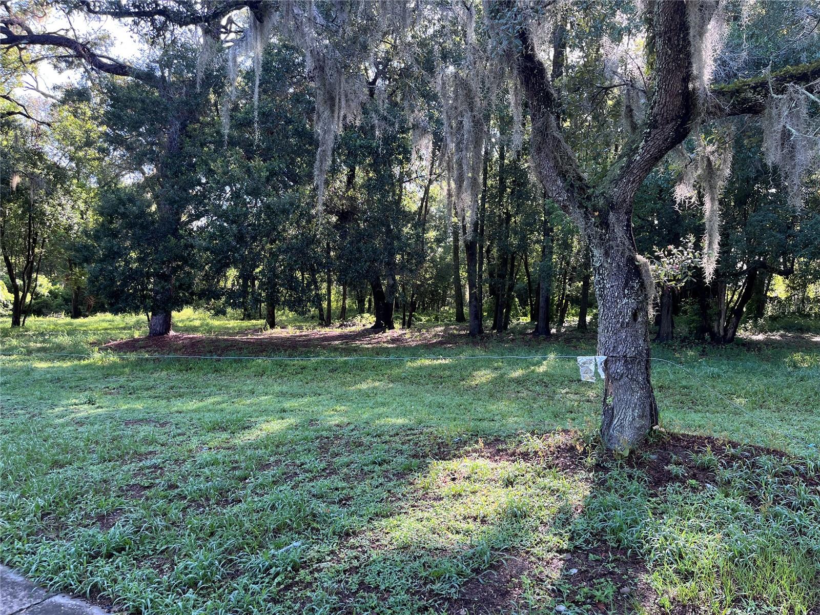 Marker Street, FL