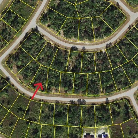 3343 Vineyard Circle, FL