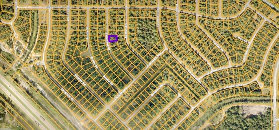 Breadnut St, FL