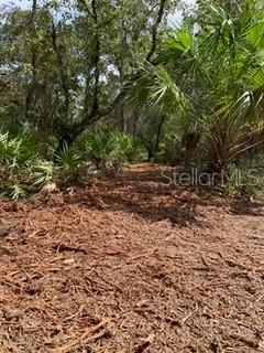 18429 Retriever Road, FL