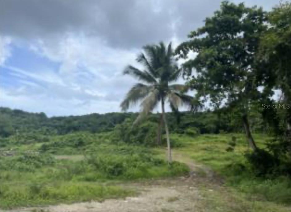 El Zarzal, PR