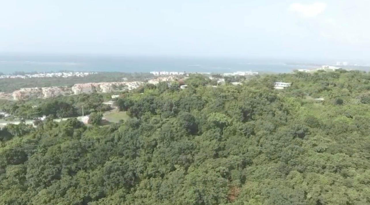El Zarzal, PR