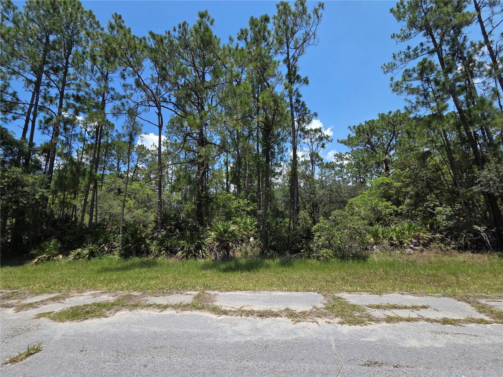 0 Allamanda Dr, FL