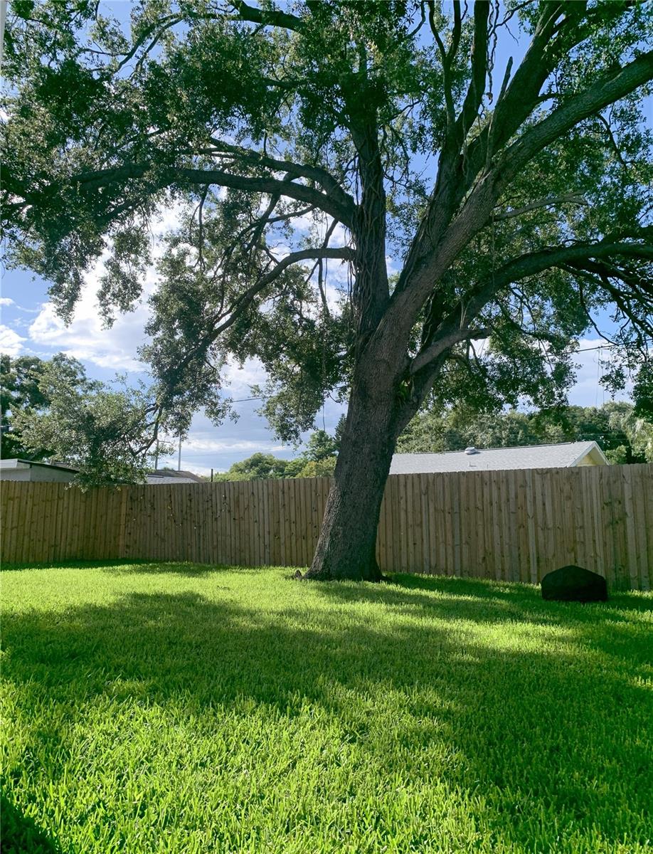 2222 Clark Street, FL