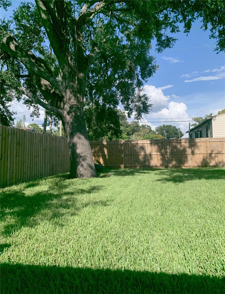2222 Clark Street, FL