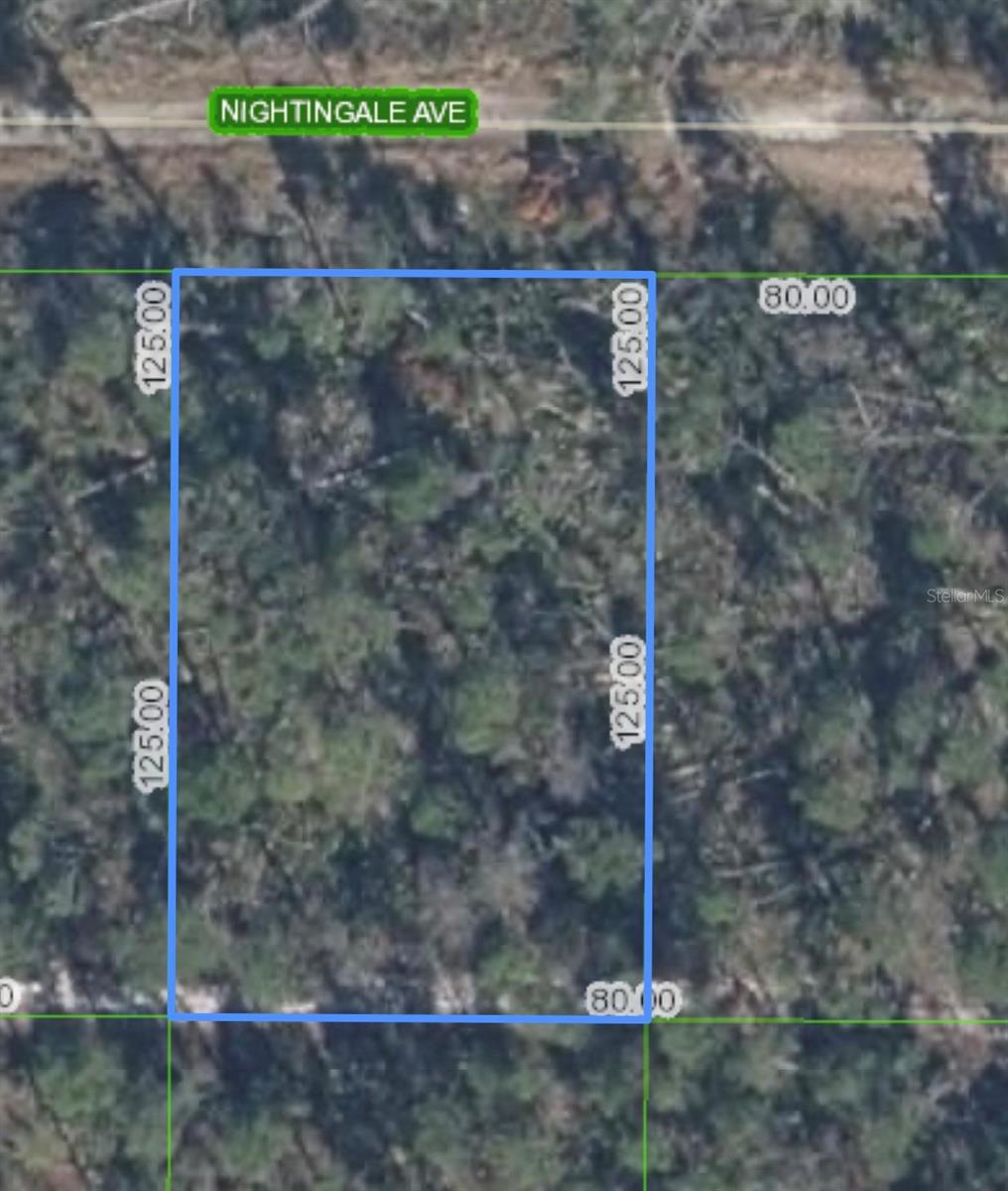 455 Nightingale Ave, FL