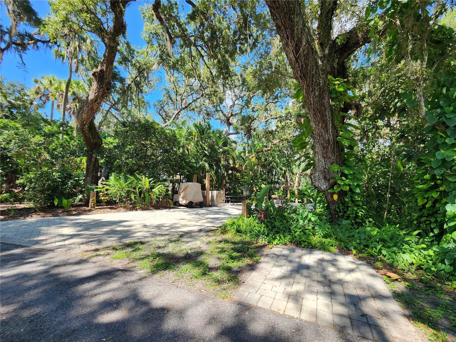 316 Roan (Gator Alley) Rd, FL