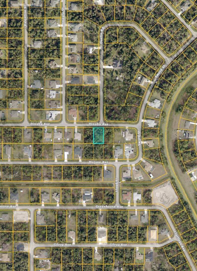 Dinuba Avenue, FL