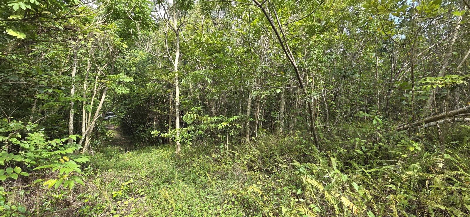 Carr 647 Bo. Candelaria Lote D, PR