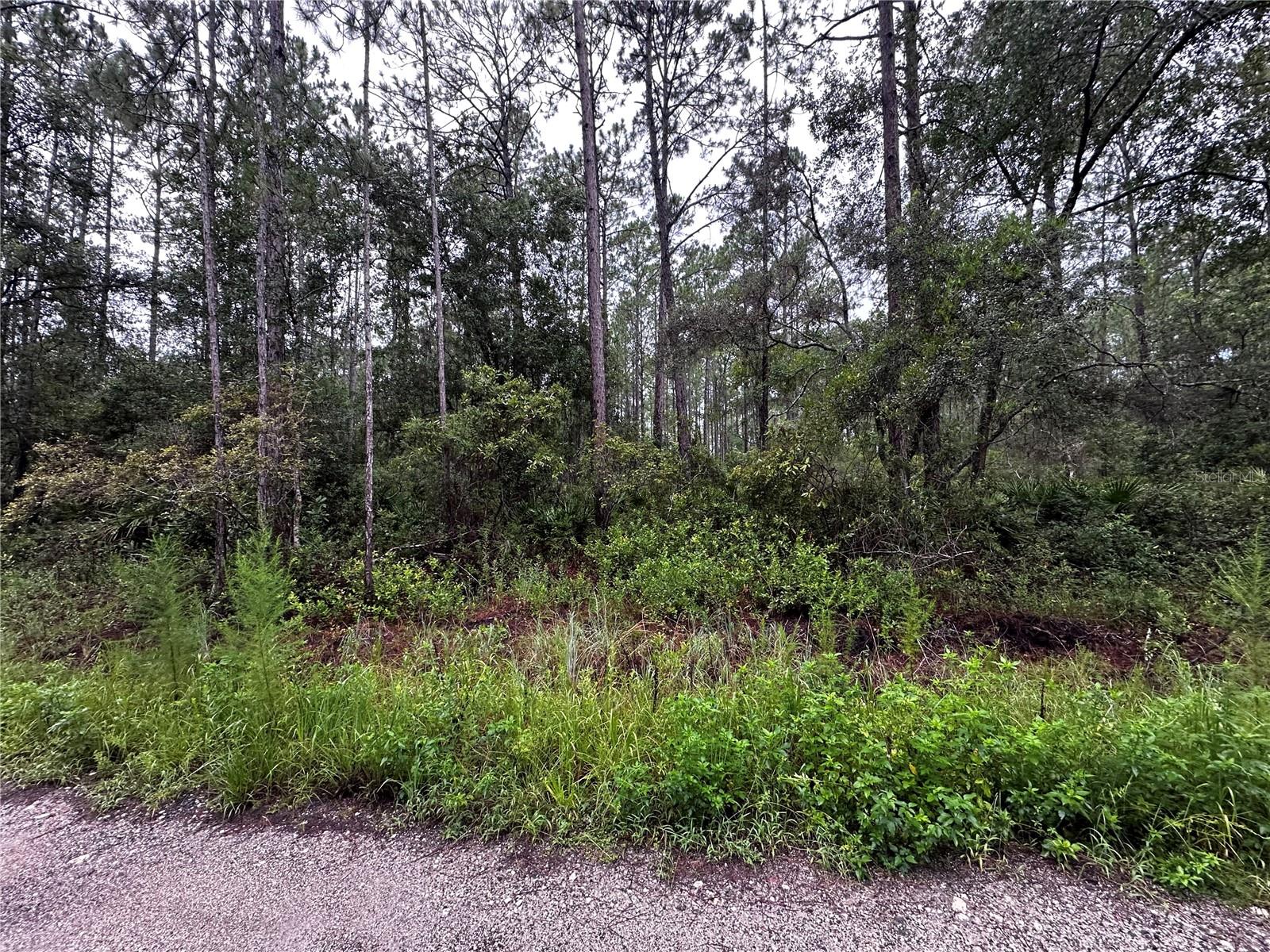 Ne 66th Ave, FL