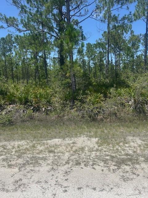 1018 Calendula Dr, FL