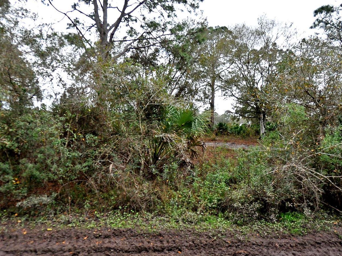 Henrietta Avenue, FL