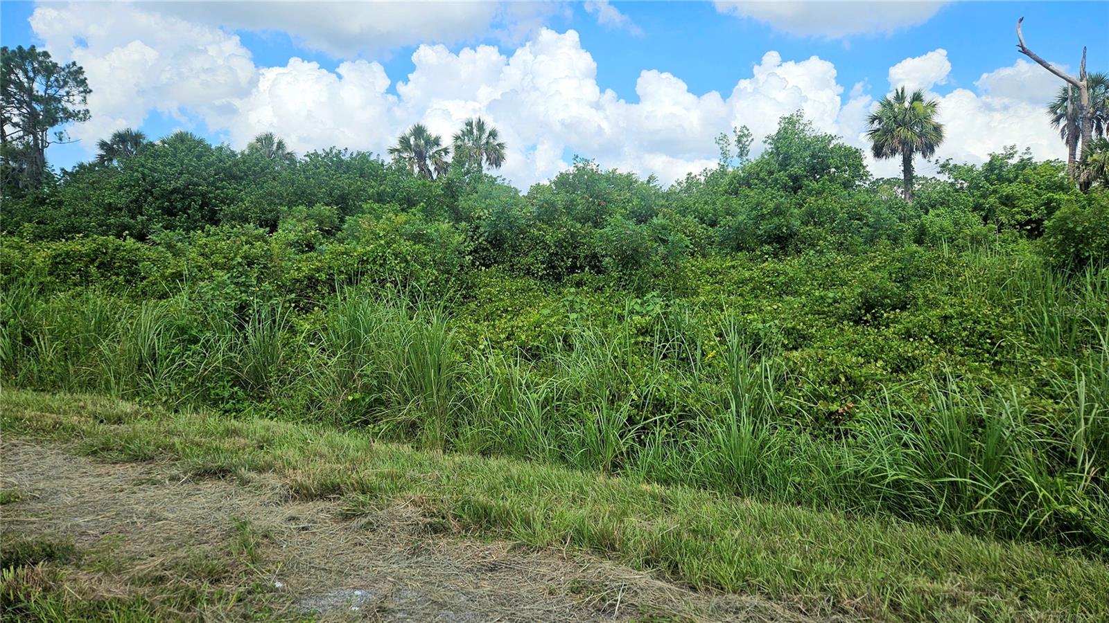 Custer Lot #25 Circle, FL