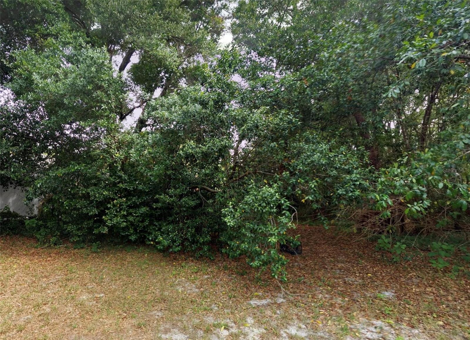 1766 Markham Glen Circle, FL