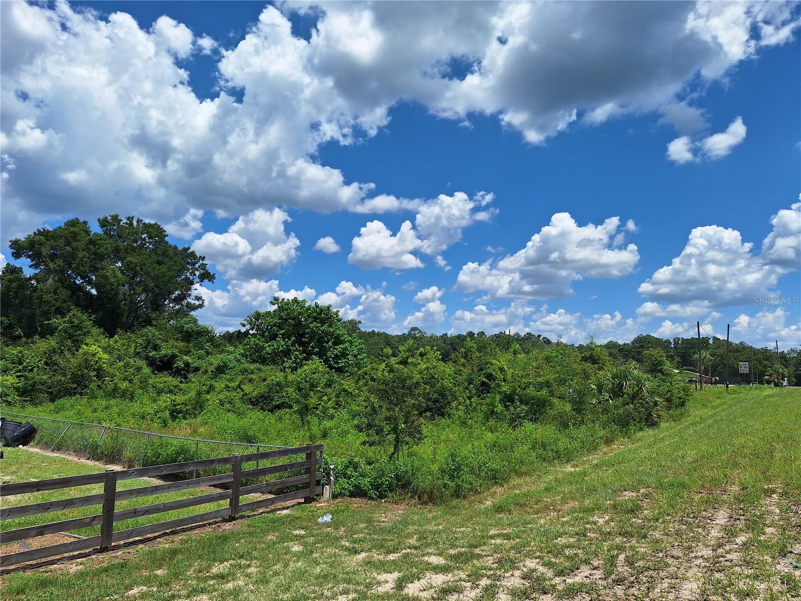 Tbd Hwy. 19, FL