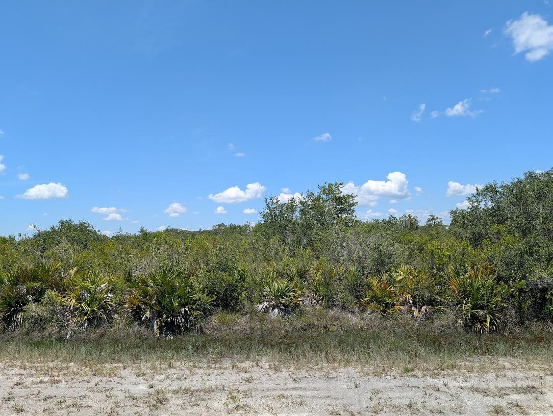 Sarasota Drive, FL