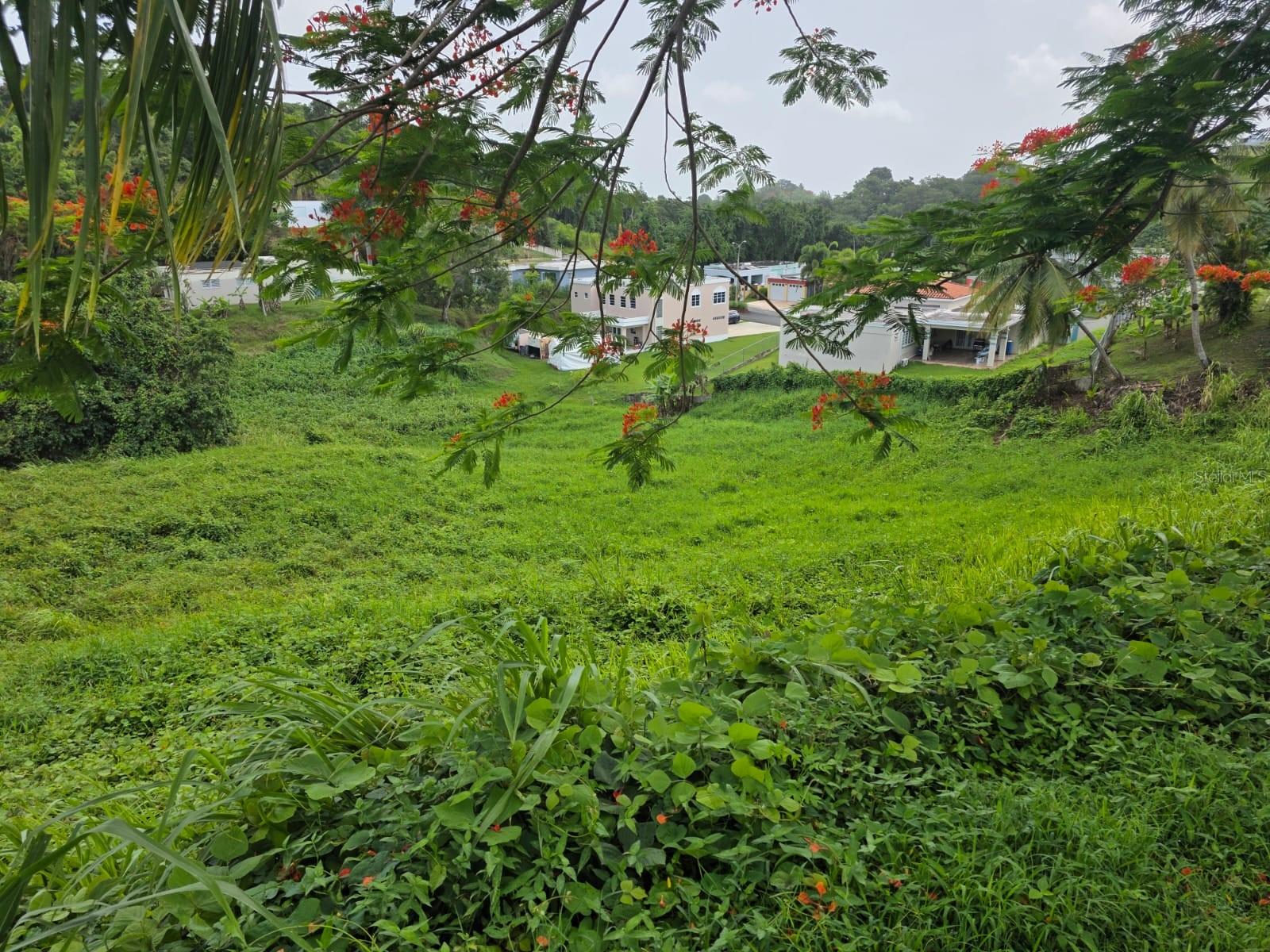 Km 4.5 Sr 962 Bo. Cambalache, PR