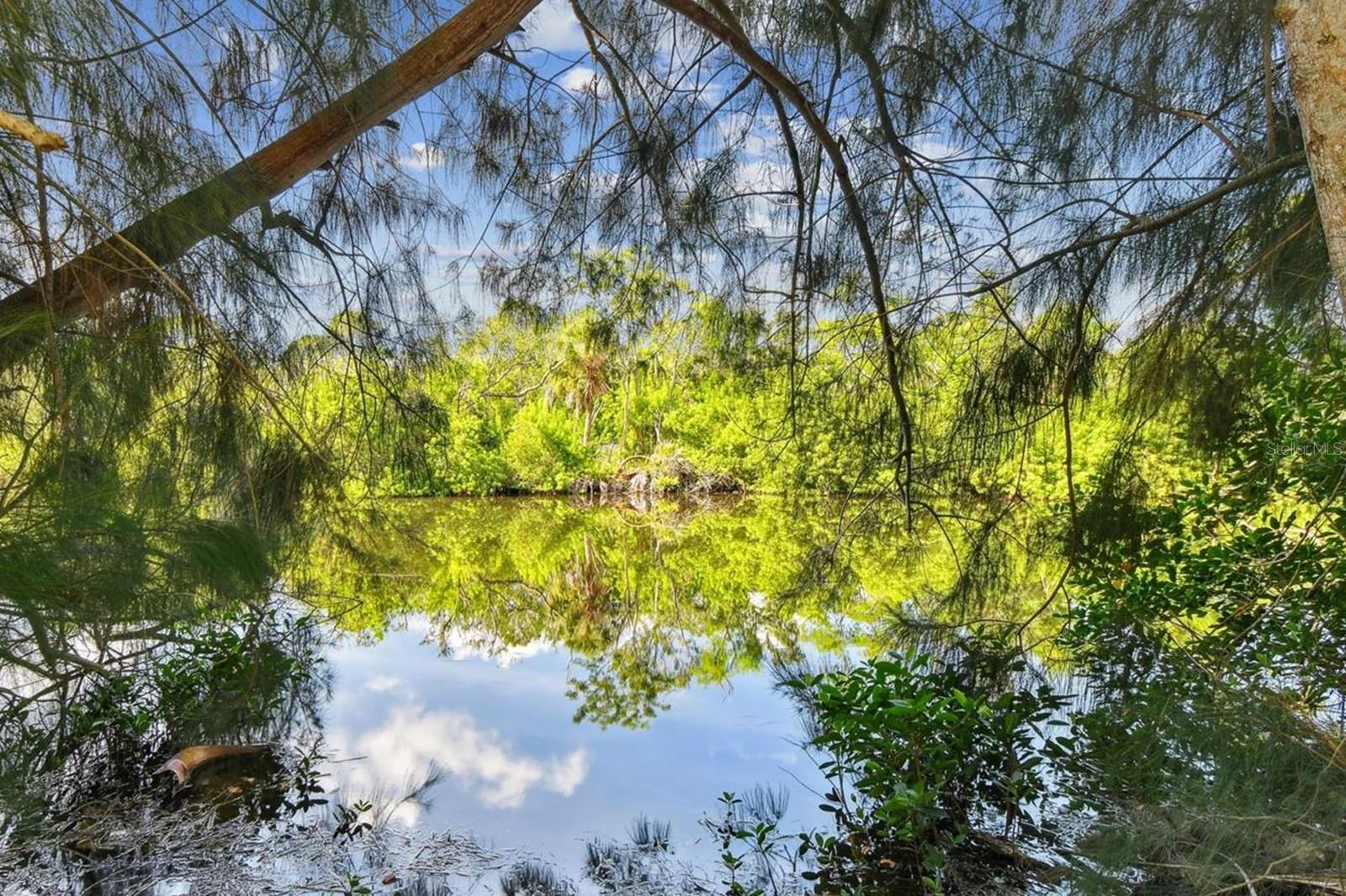 5909 Mohr Road, FL
