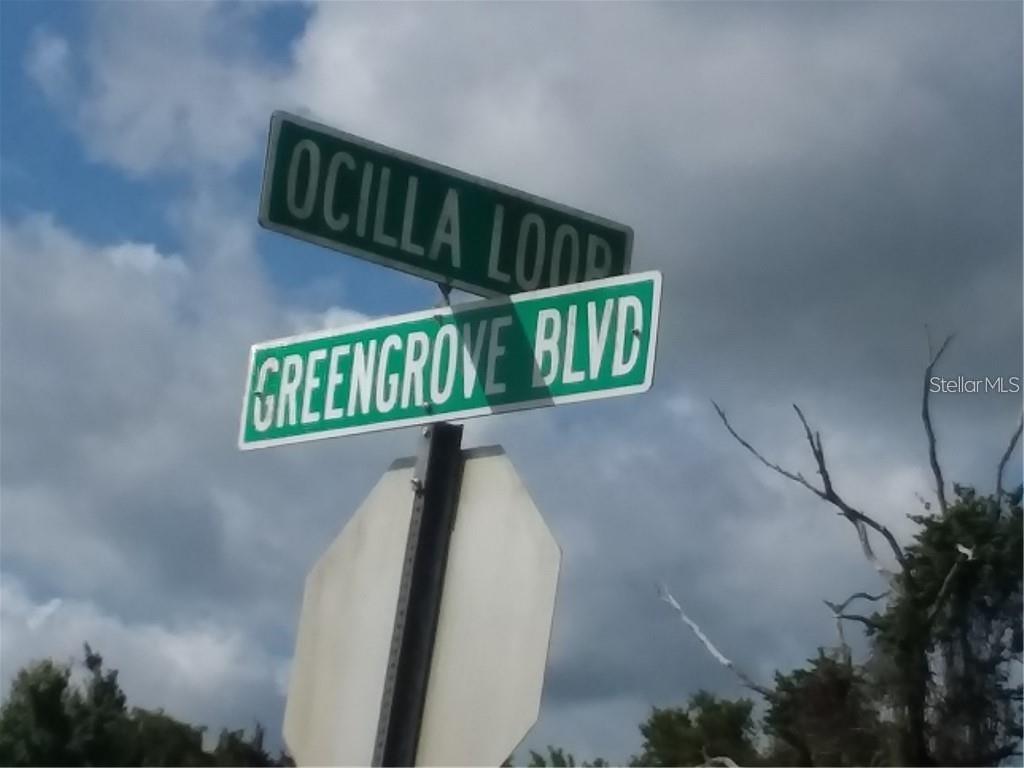 Greengrove Blvd #Lot26, FL
