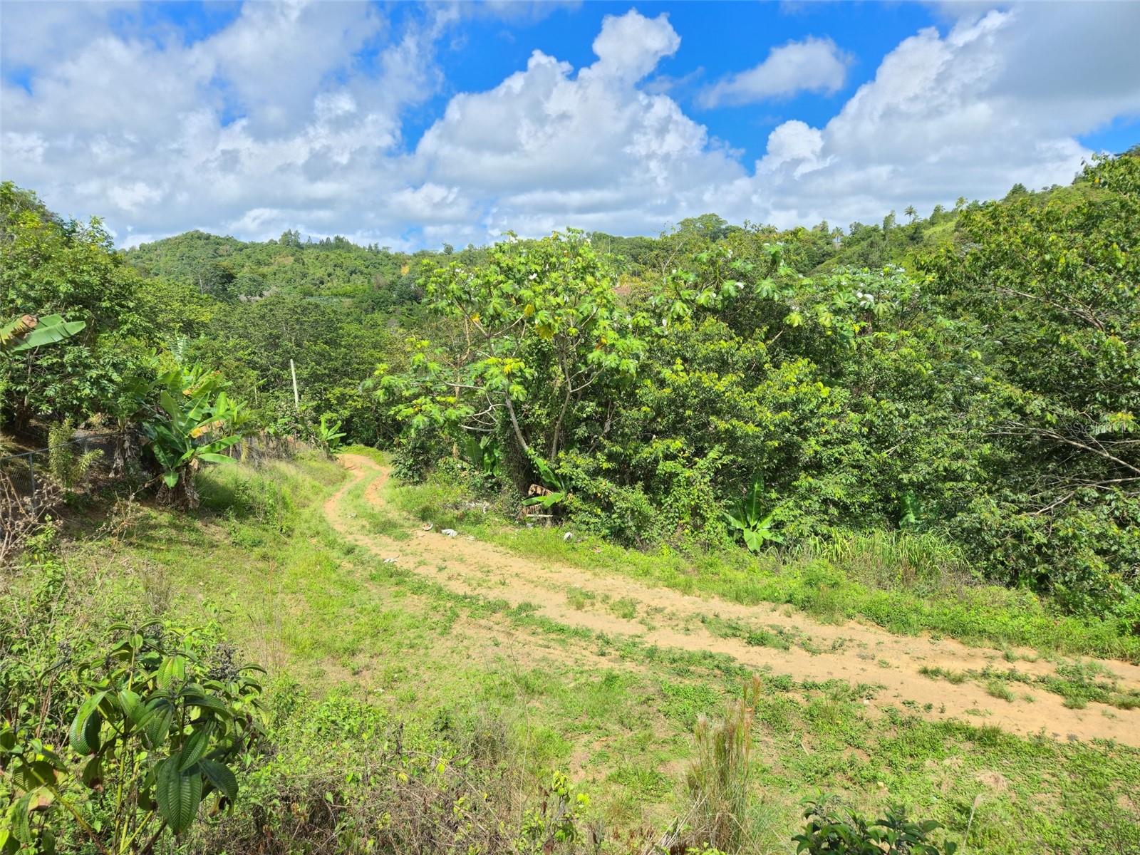 Pr- 155 Km. 20 Hm 8 Int Bauta Arriba Ward, PR