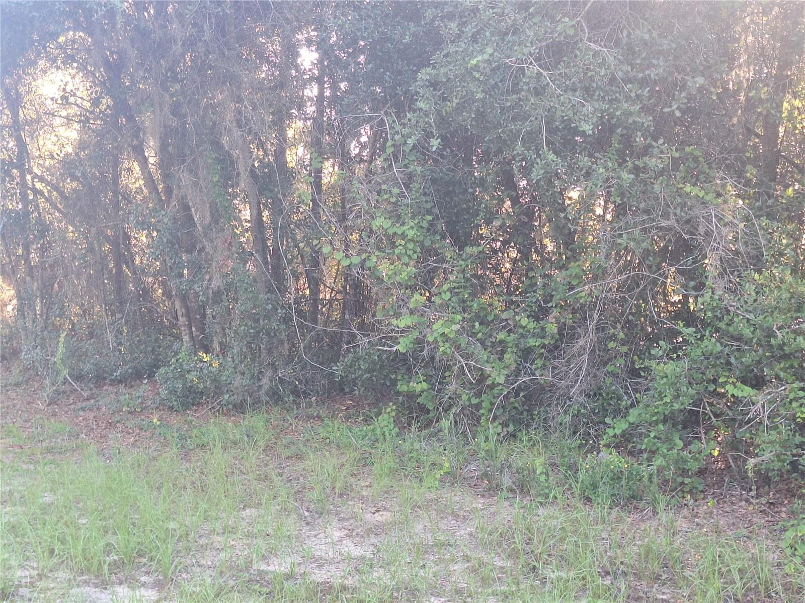 2743 Kingsdale Dr, FL