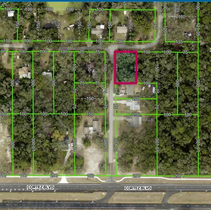 Lot 175c Madison Avenue, FL