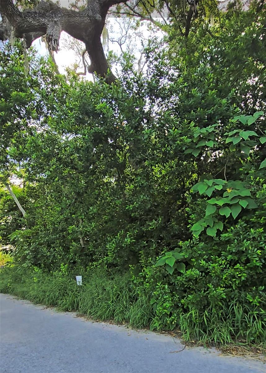 Lenox Drive, FL