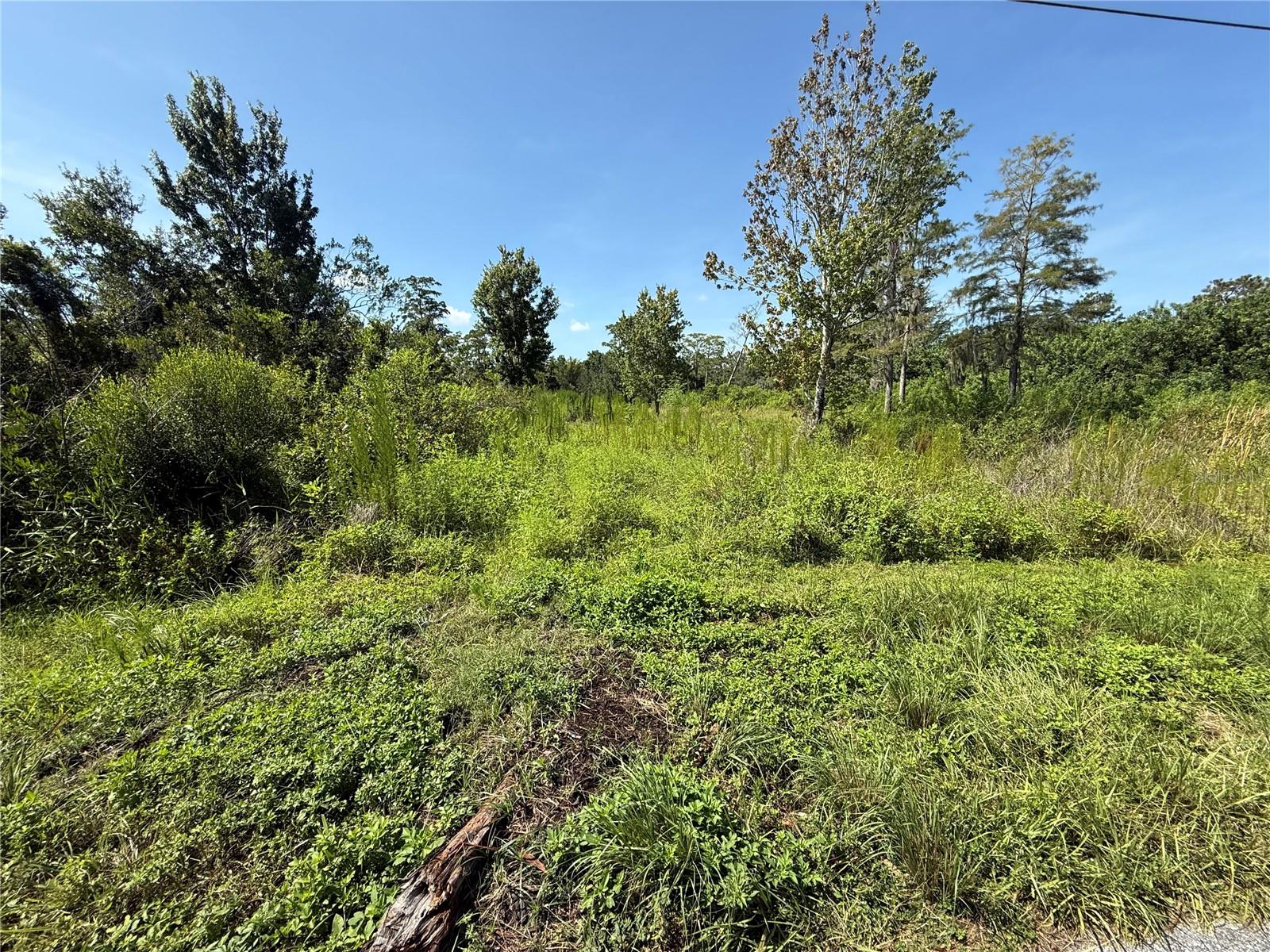 9370 Atlas Drive, FL