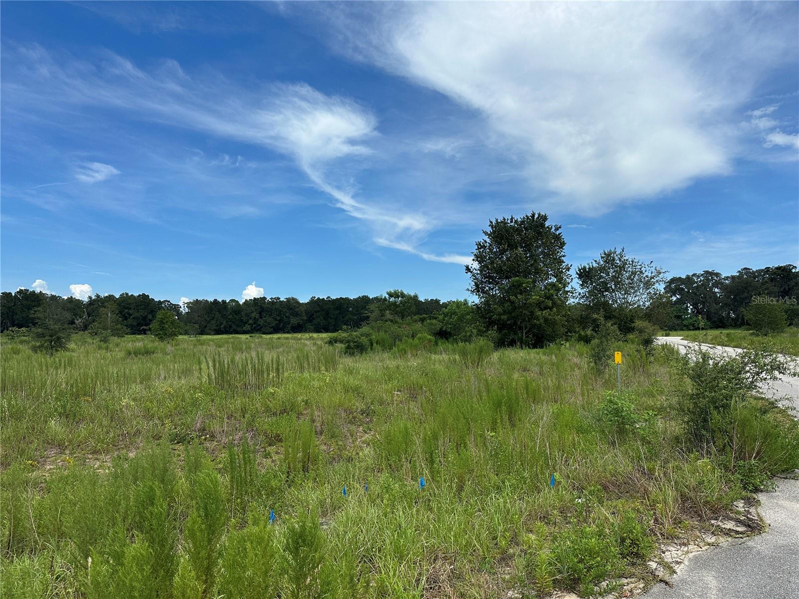 7795 63rd Court, FL