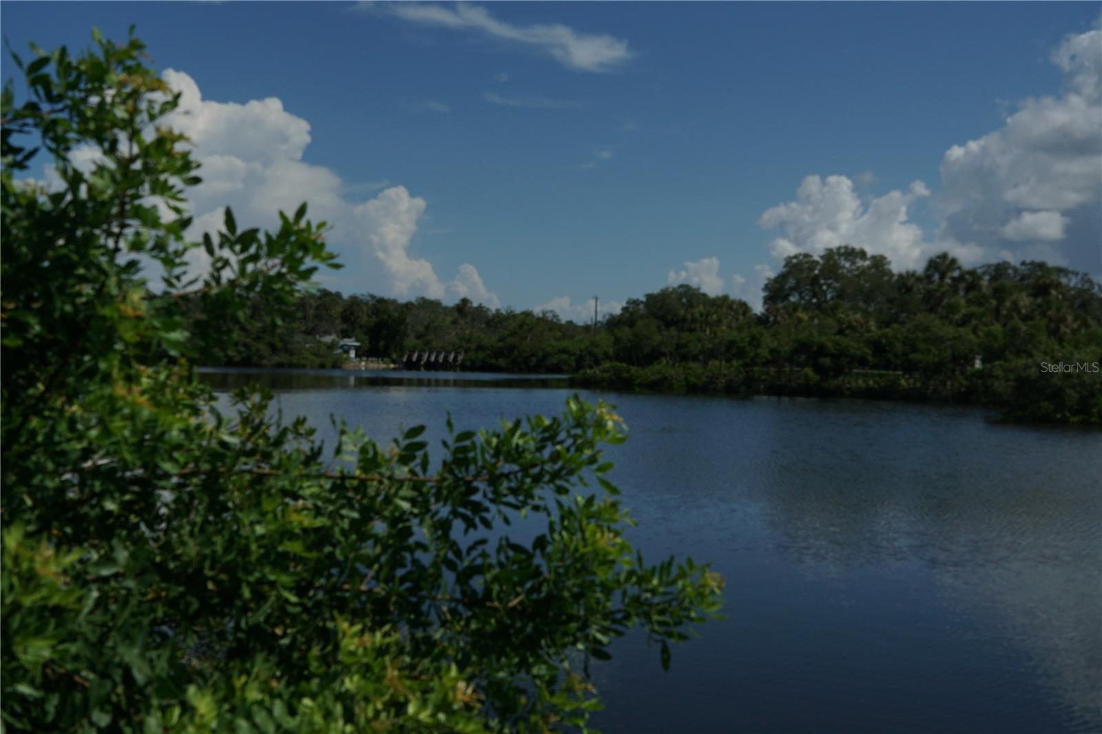 Tiberius Trail, FL