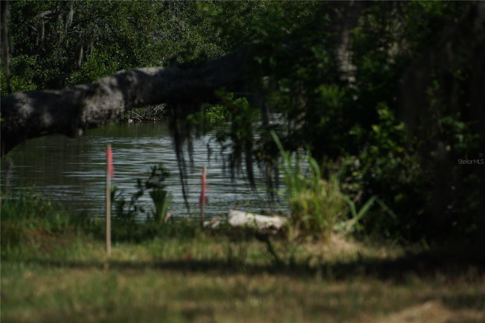 Tiberius Trail, FL