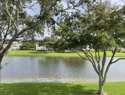 293 Dorset G #G, FL