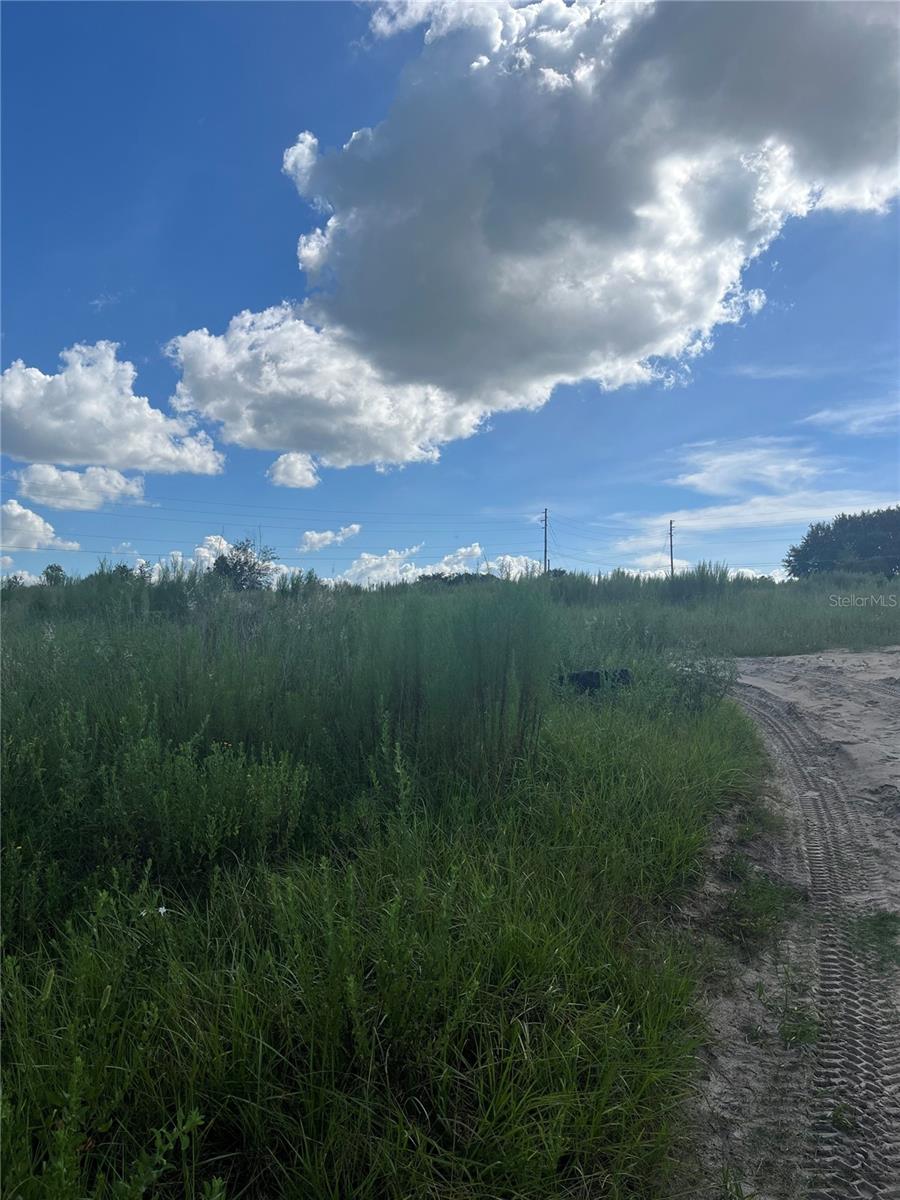 Kelly Park Road, FL