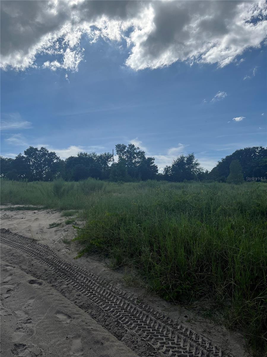 Kelly Park Road, FL