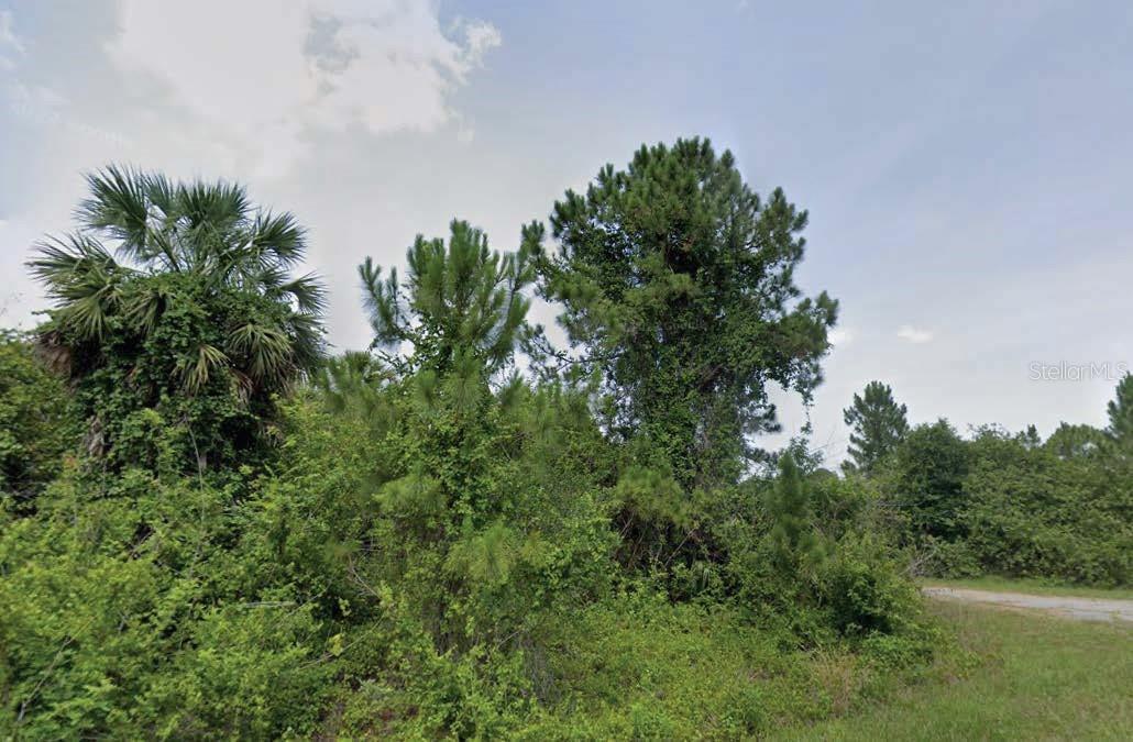 Jiggs St, FL