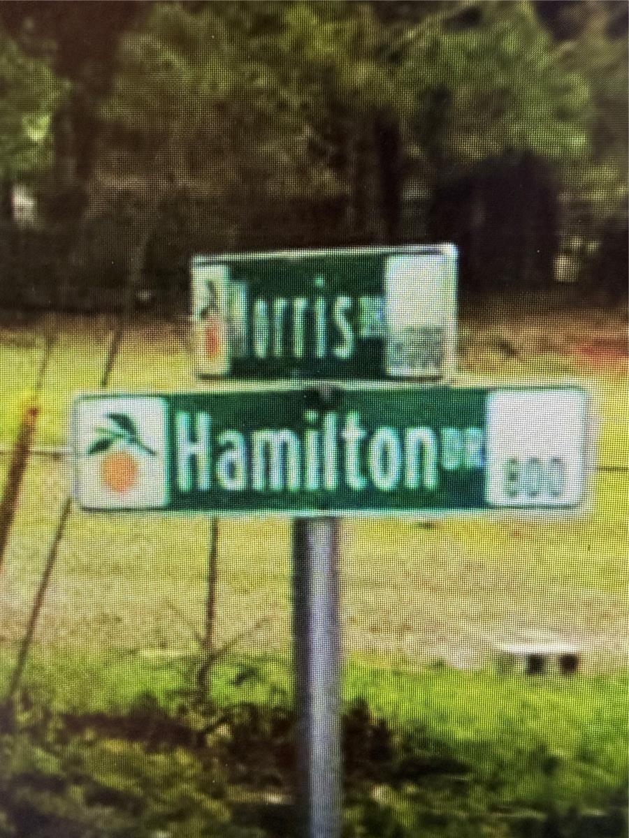 522 Hamilton Drive, FL